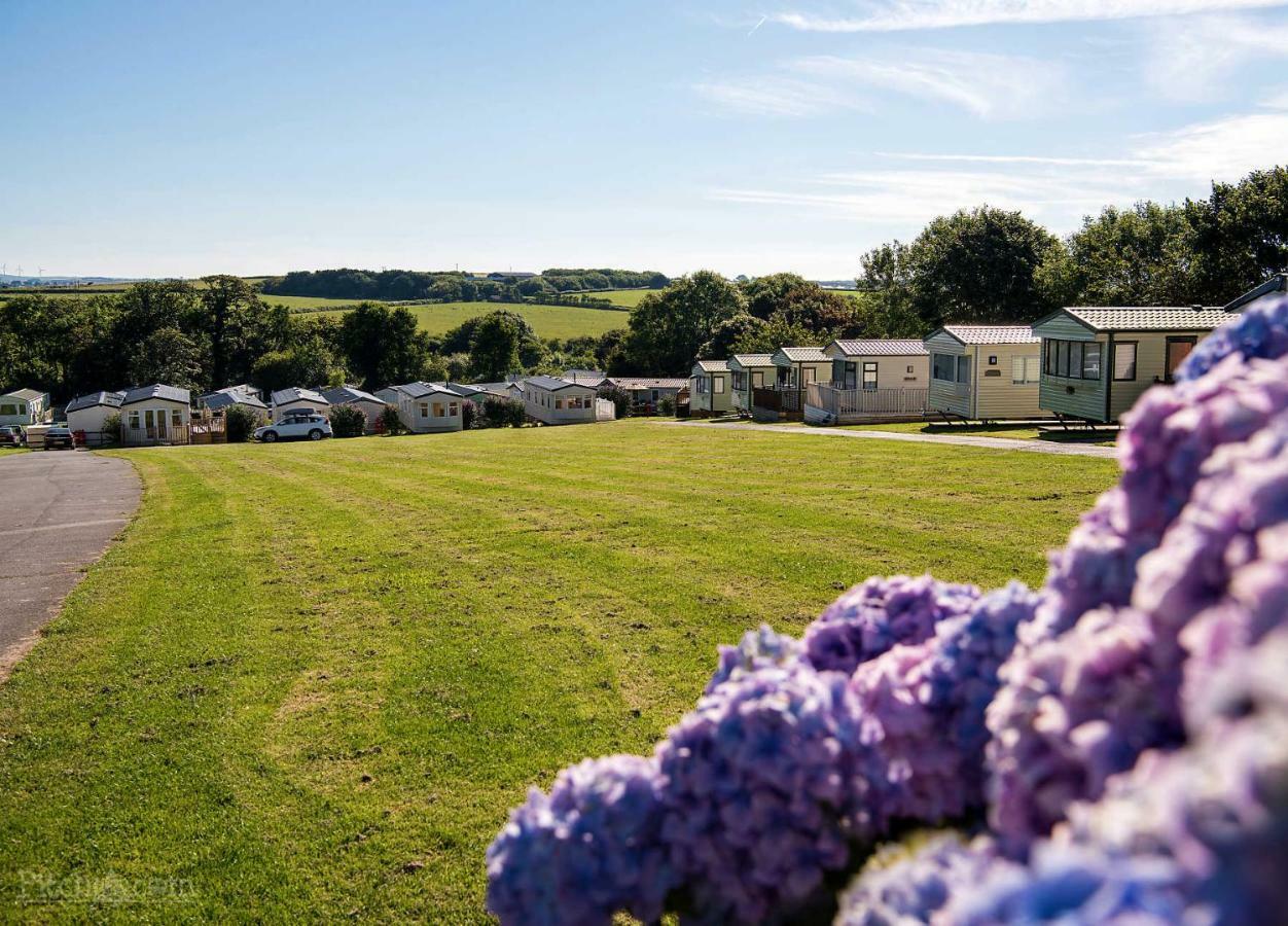 Trevella Holiday Park New Quay Exteriör bild