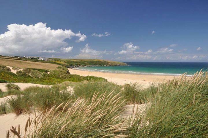 Trevella Holiday Park New Quay Exteriör bild