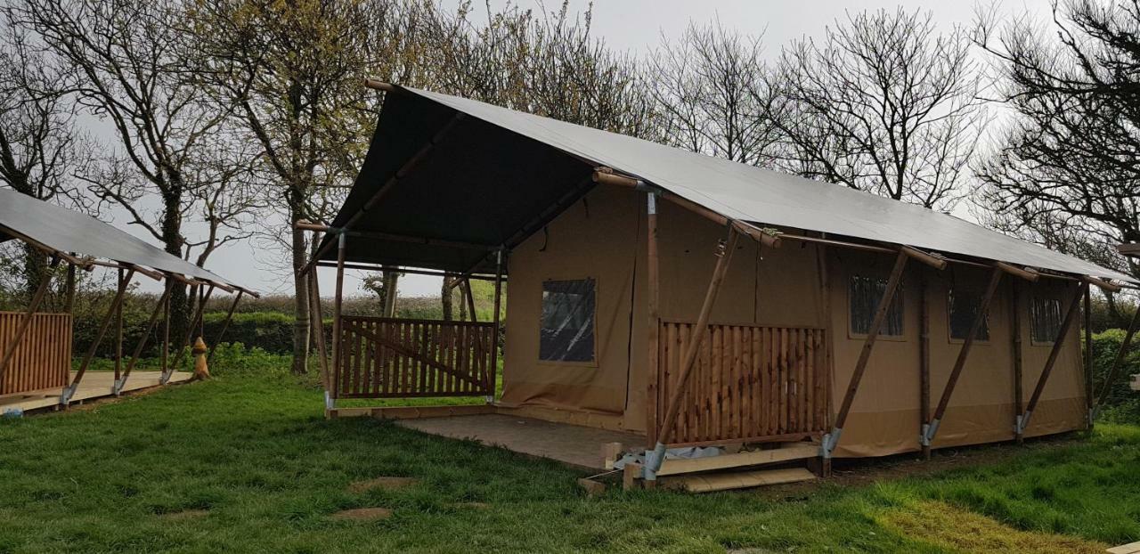 Trevella Holiday Park New Quay Rum bild