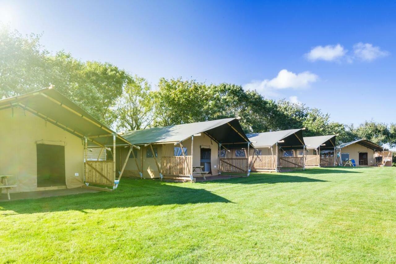 Trevella Holiday Park New Quay Exteriör bild